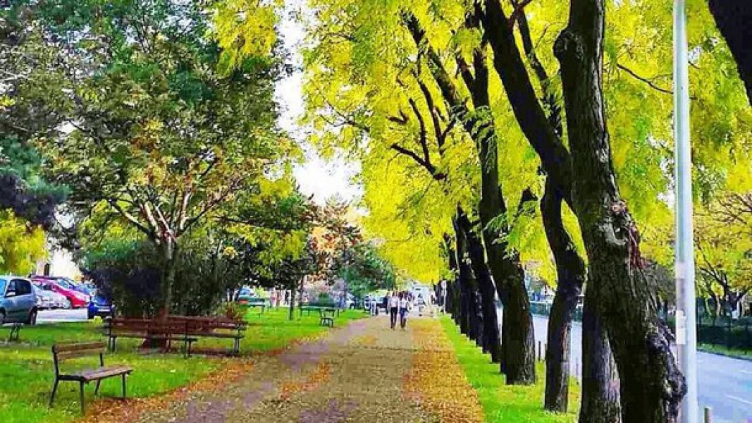 Bulevar Svetog Petra Cetinjskog među 49 najmagičnijih svjetskih ulica