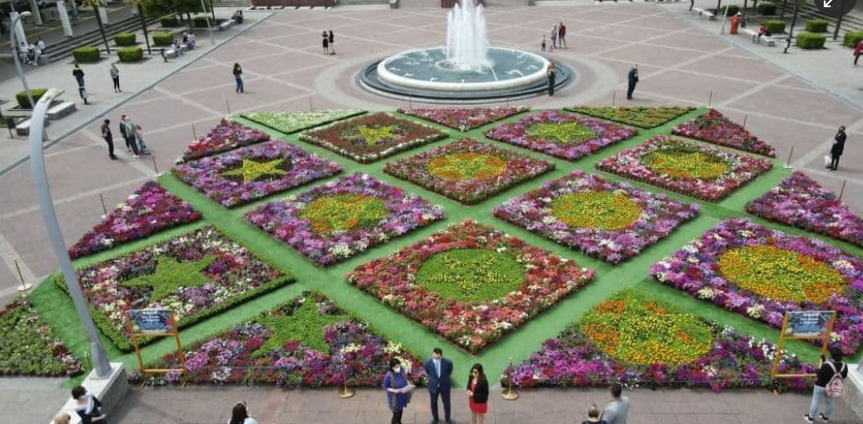 Prvi cvjetni tepih u Crnoj Gori u čast Dana Evrope (FOTO)