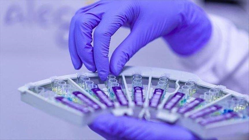 U Crnoj Gori nema lažnih PCR testova