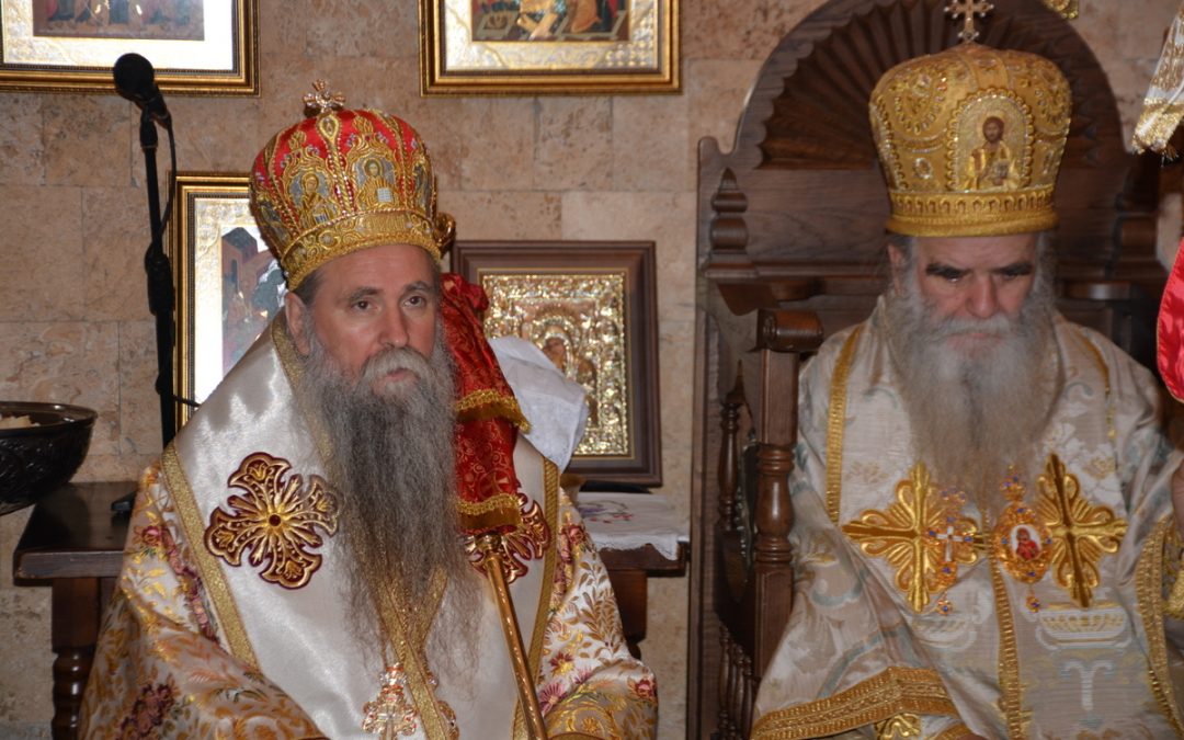 Ukinut Amfilohijev Episkopski savjet, Joanikije bez titule arhiepiskopa cetinjskog