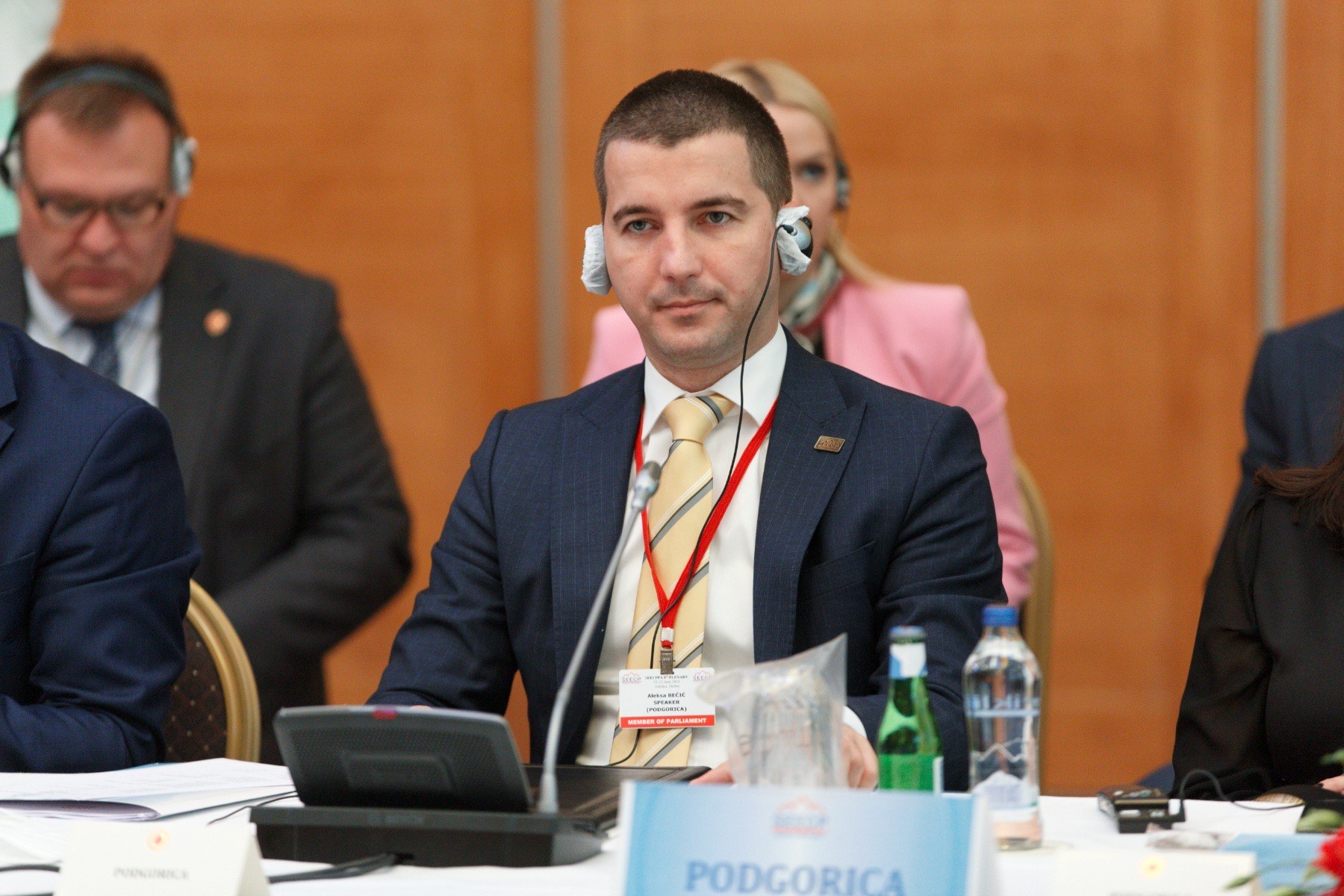 Bečić na plenarnoj sesiji Parlamentarne skupštine Procesa saradnje Jugoistočne Evrope