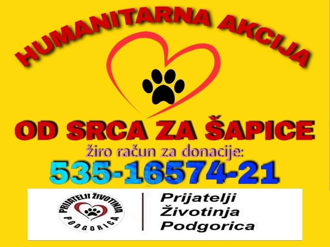 NVO ‘Prijatelji životinja Podgorica’ pokreću humanitarnu akciju ‘Od srca za šapice’