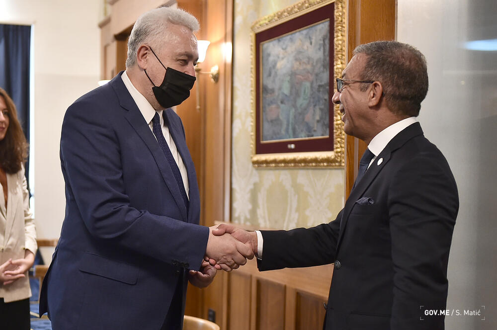 Krivokapić sa Pačekom: Zadatak Vlade da društvo učini građanskim i demokratskim