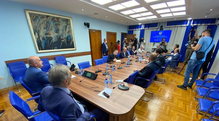 Sastanka vladajuće većine nema do sredine avgusta