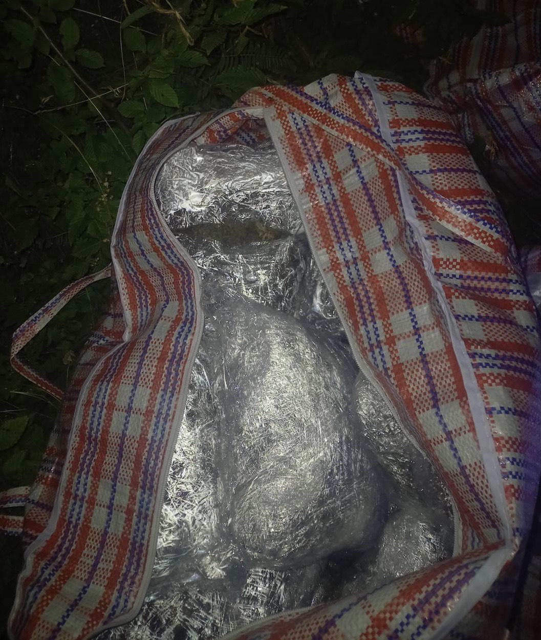 Rožaje: Pronađeno 120 kilograma marihuane