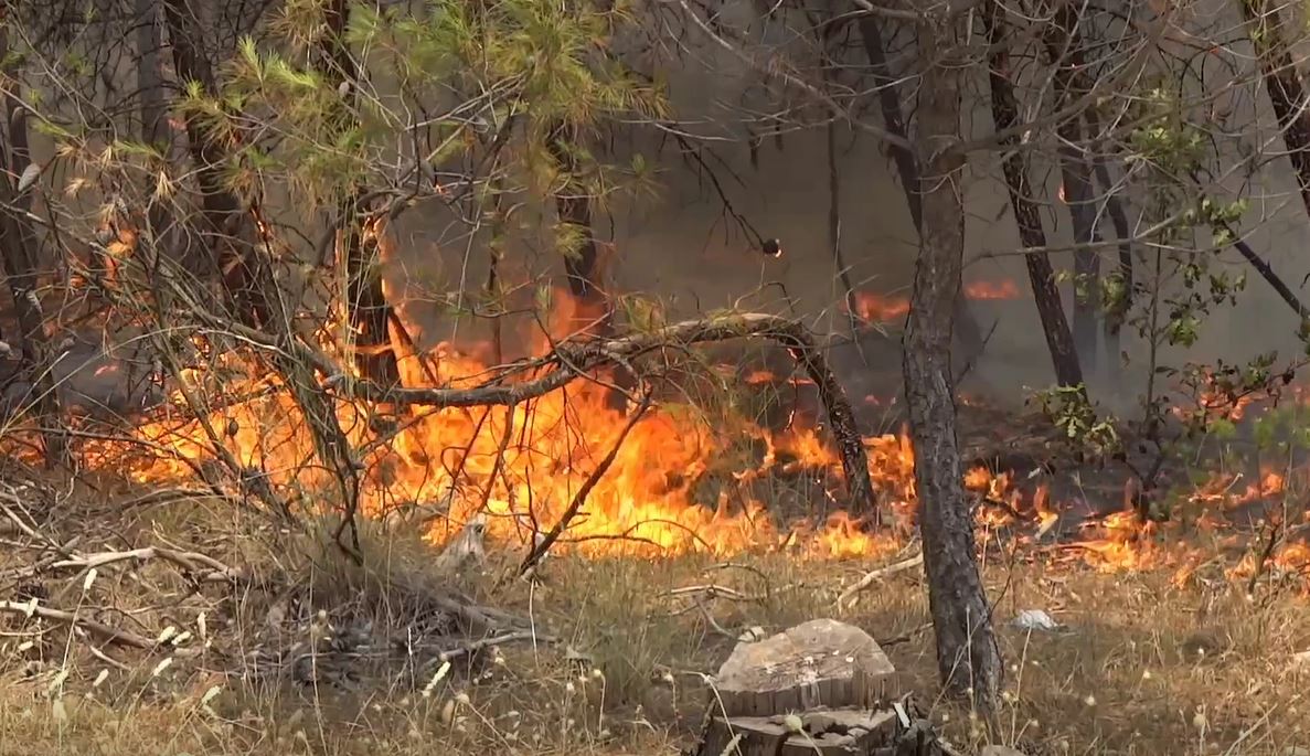 Požar u podgoričkom naselju Zelenika stavljen pod kontrolu, sve ekipe i dalje na terenu