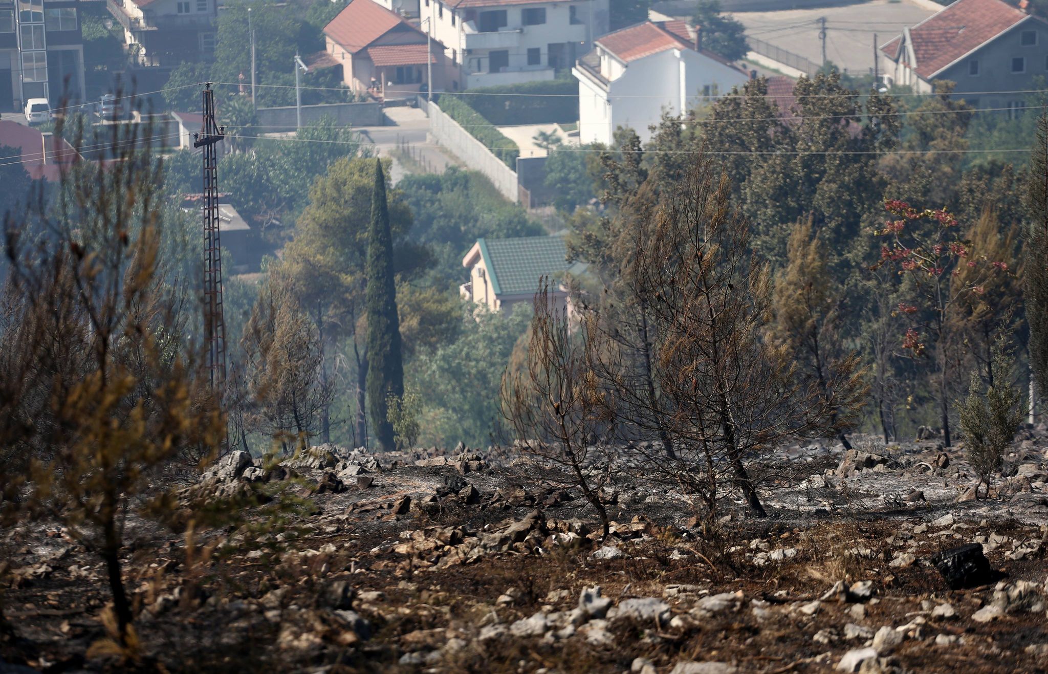 Oporavimo pluća Podgorice: I građani mogu pomoći pošumljavanju Gorice