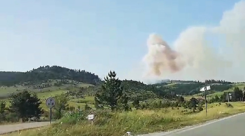 Ugašen požar na Kosanici, uzrok ljudski faktor