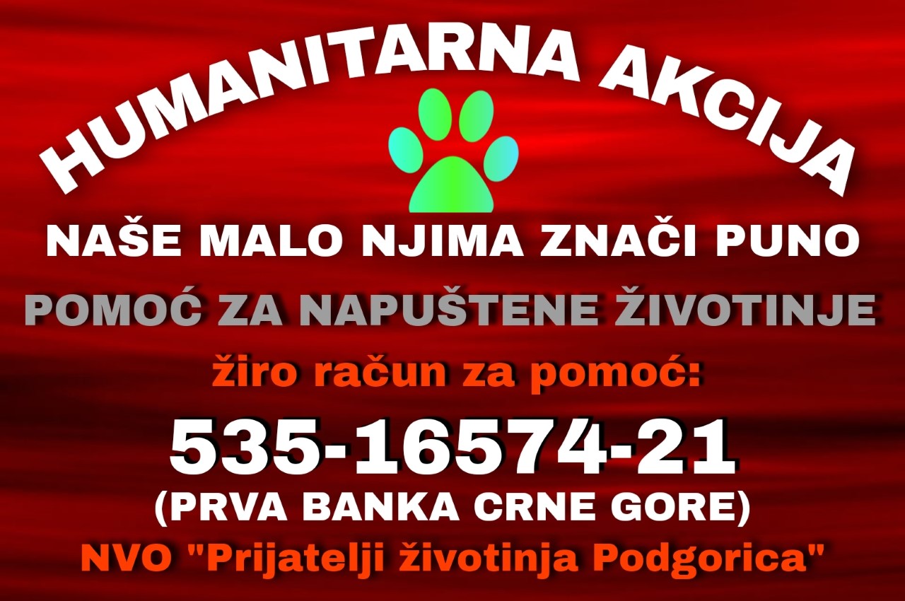 NVO ‘Prijatelji životinja Podgorica’ pokrenula humanitarnu akciju: ‘Naše malo, njima znači puno’