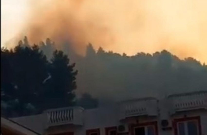 Veliki požar u Spičanskom polju