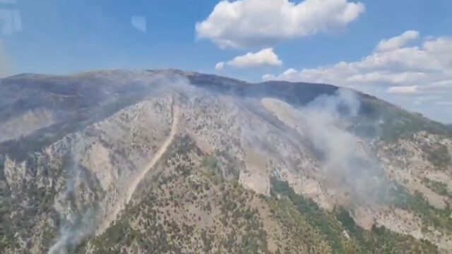 Vatra na planini Bunetina podmetnuta: Požar cijena za pečurke?