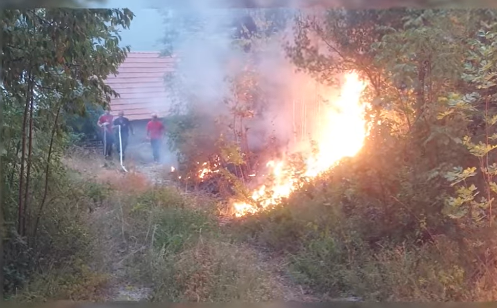VIDEO: I dalje aktivni požari u Katunskoj nahiji, velika šteta pričinjena šumama, vatrogaci premoreni ali ne odustaju…