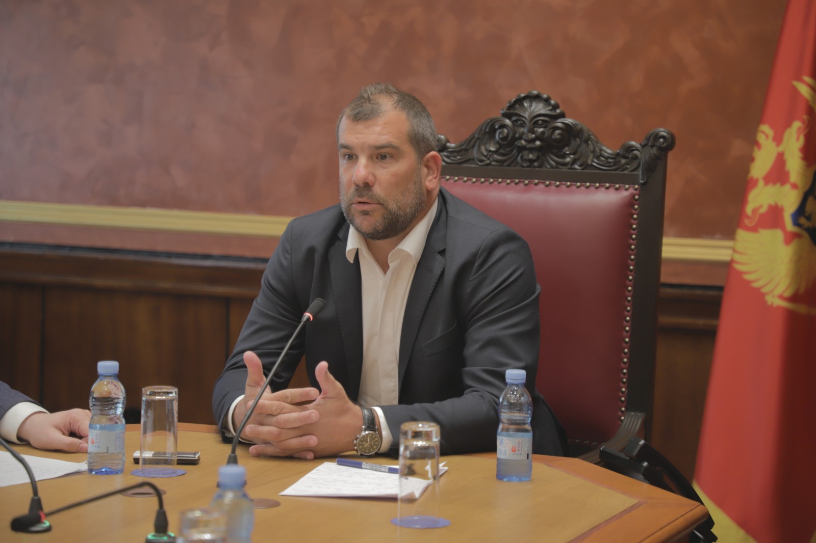 Krapović: Neprijatni atak koji je pretrpjela Tadić Mijović rezultat praksi bivšeg režima