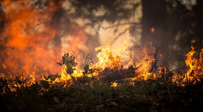 U pritvoru osumnjičeni za podmetanje požara na Koniku
