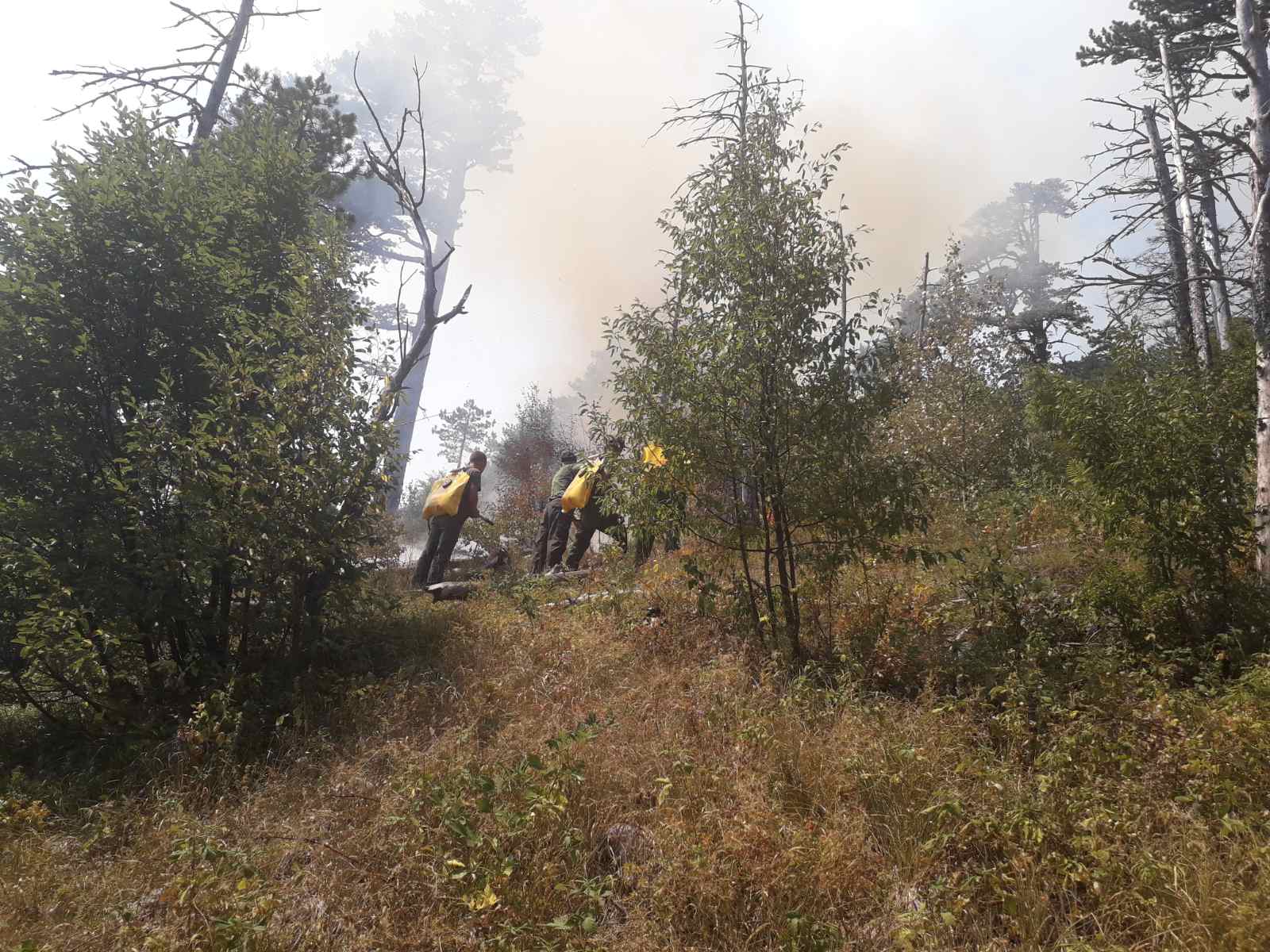 Požar se širi ka kanjonu Tare, registrovan novi na vrhu Međeda u NP Durmitor, helikopter Vojske gasi opožarene lokacije