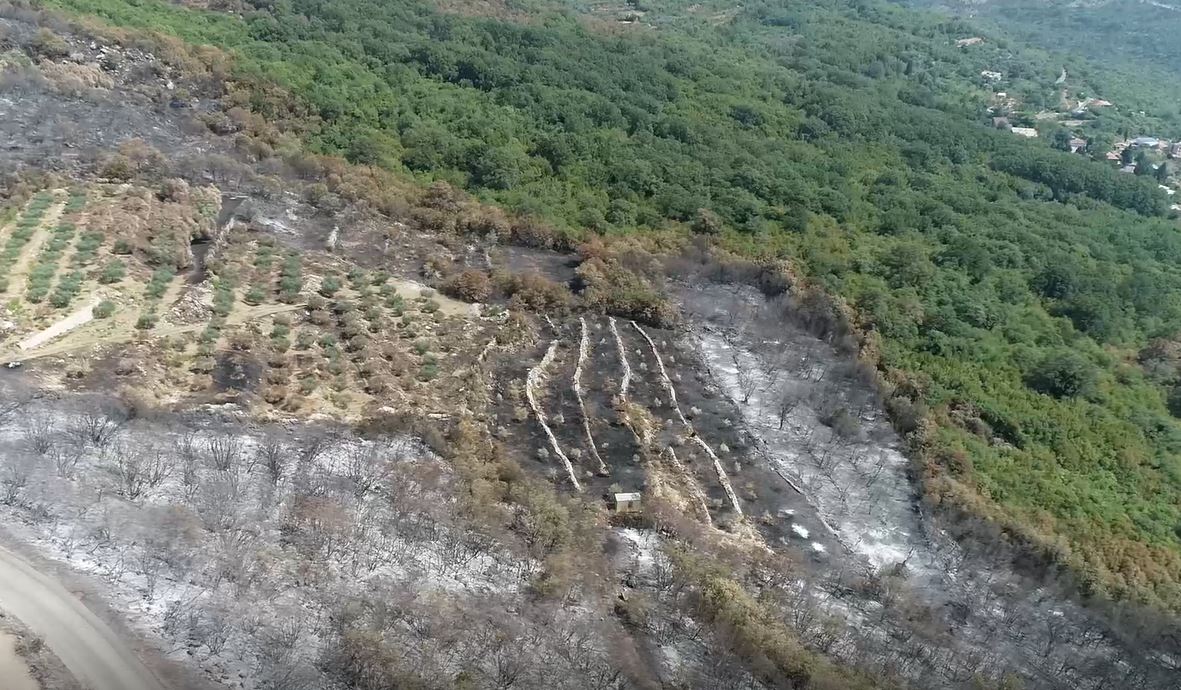 U Baru trenutno nema aktivnih požara, trajno uništeno između 700 i 800 korijena masline