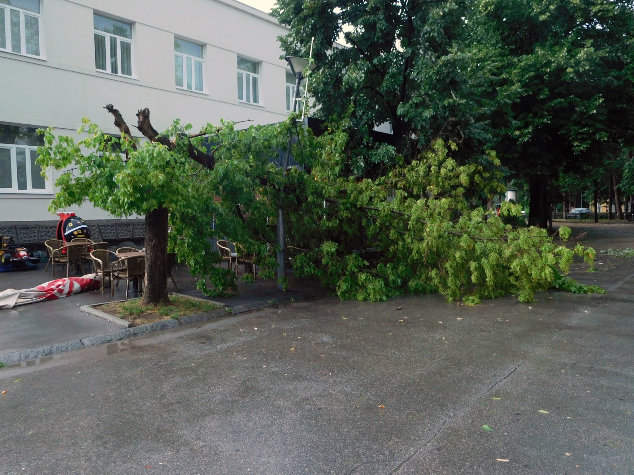 Snažna oluja pogodila Banjaluku, vjetar obarao stabla, djelovi grada bez struje
