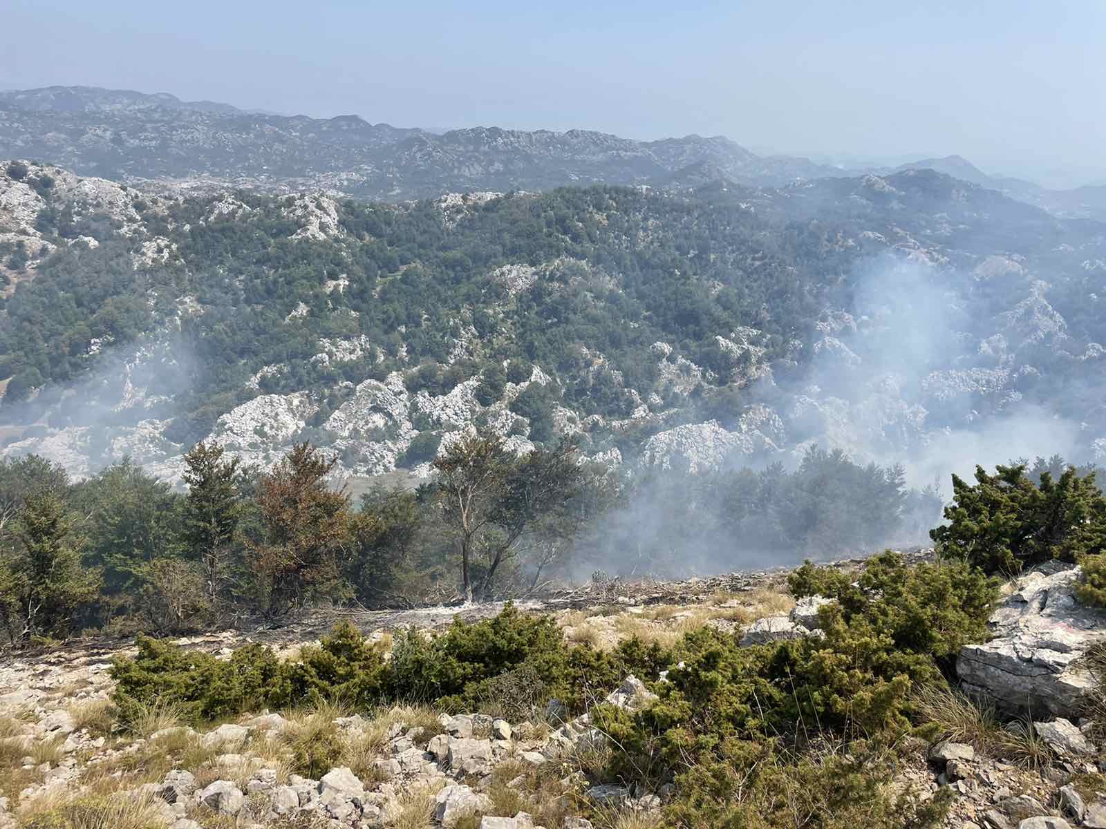 Nakon dva dana borbe sa vatrenom stihijom požar u NP Lovćen stavljen pod kontrolu