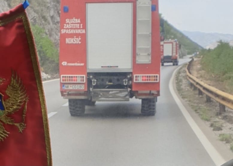 DPS Nikšić: Tadić svojevoljno pokušao da angažuje vatrogasce da šmrkovima rastjeraju Cetinjane