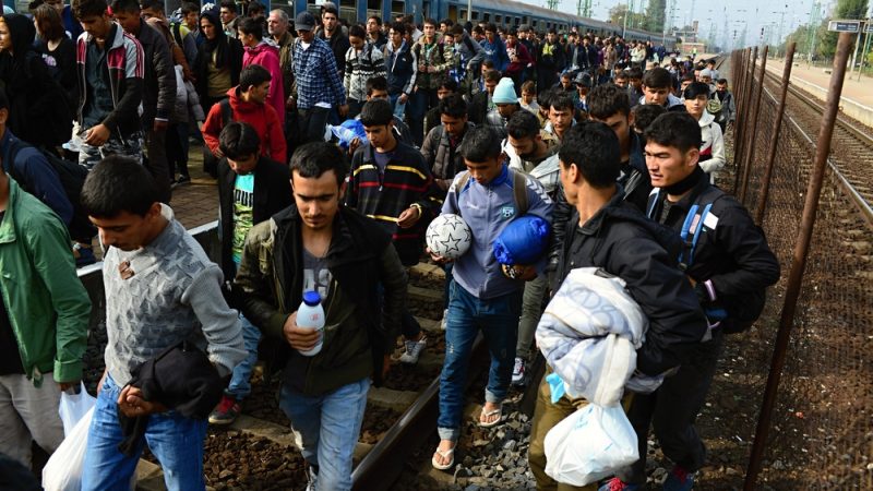Izbori u Njemačkoj: Različiti prioriteti stranaka oko politike migracija