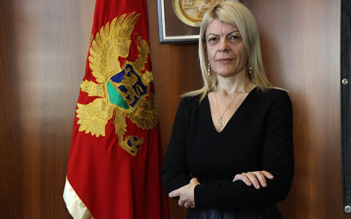 Damjanović: Ne treba nam vjernoauka, već nauka i digitalizacija