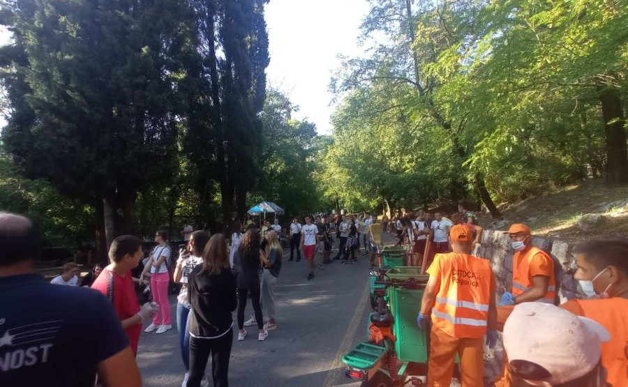 Na Gorici, u toku, akcija čišćenja, pošumljavanje u oktobru ili novembru