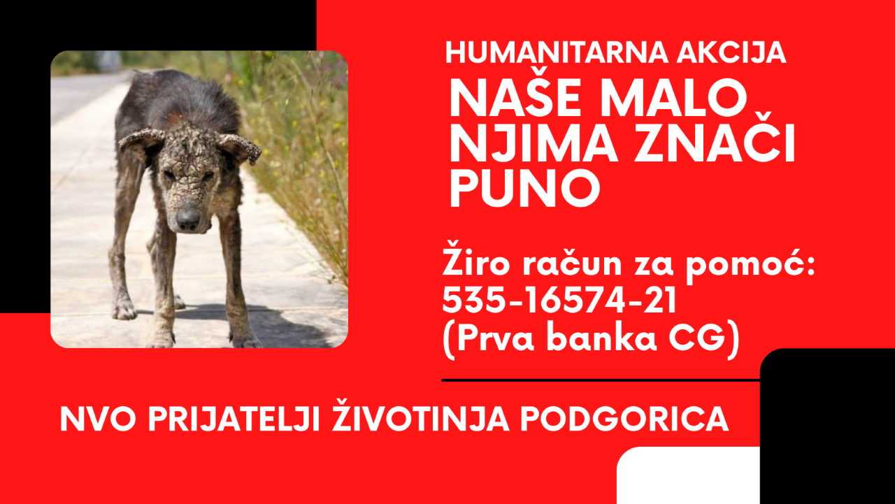 Humanitarna akcija: Naše malo, njima znači puno!