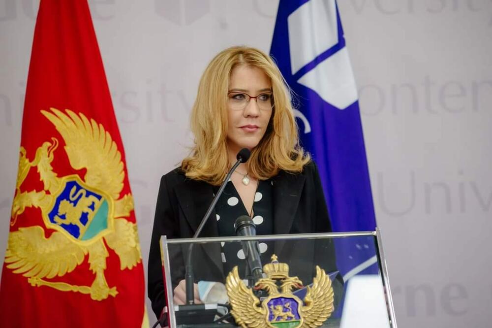 Bratić sama priprema zakon o visokom obrazovanju, struka potpuno zanemarena
