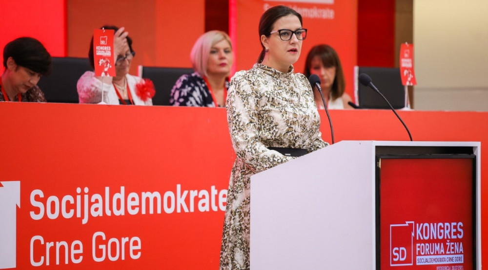Rašcanin Radičević: Spajić je toliko zainteresovan za dječiju i socijalnu zaštitu da nije čak ni obišao te ustanove