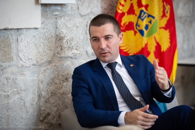 Bečić govorio o važnosti parlamentarne saradnje