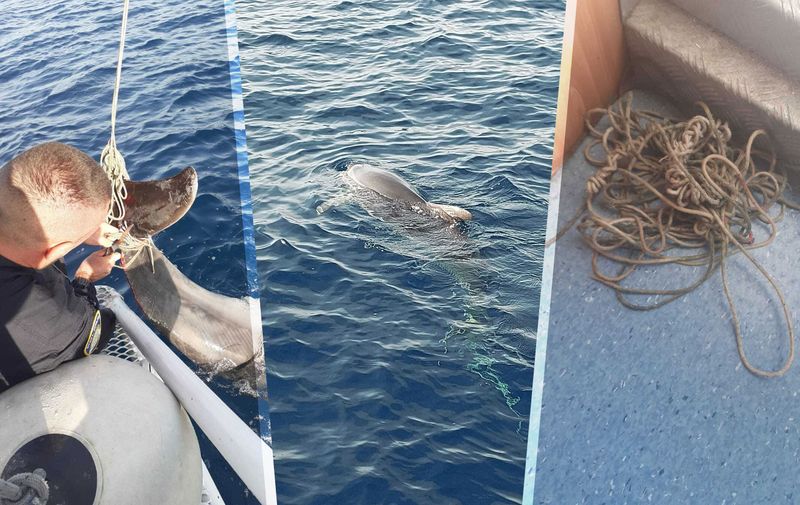VIDEO: Spašavanje zapetljanog delfina u Jadranu
