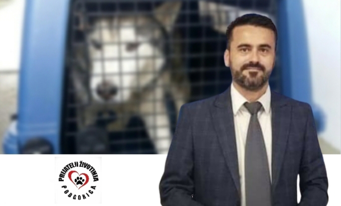 Vlahović: Otkriti ko se u Crnoj Gori bavi krađom i švercom pasa