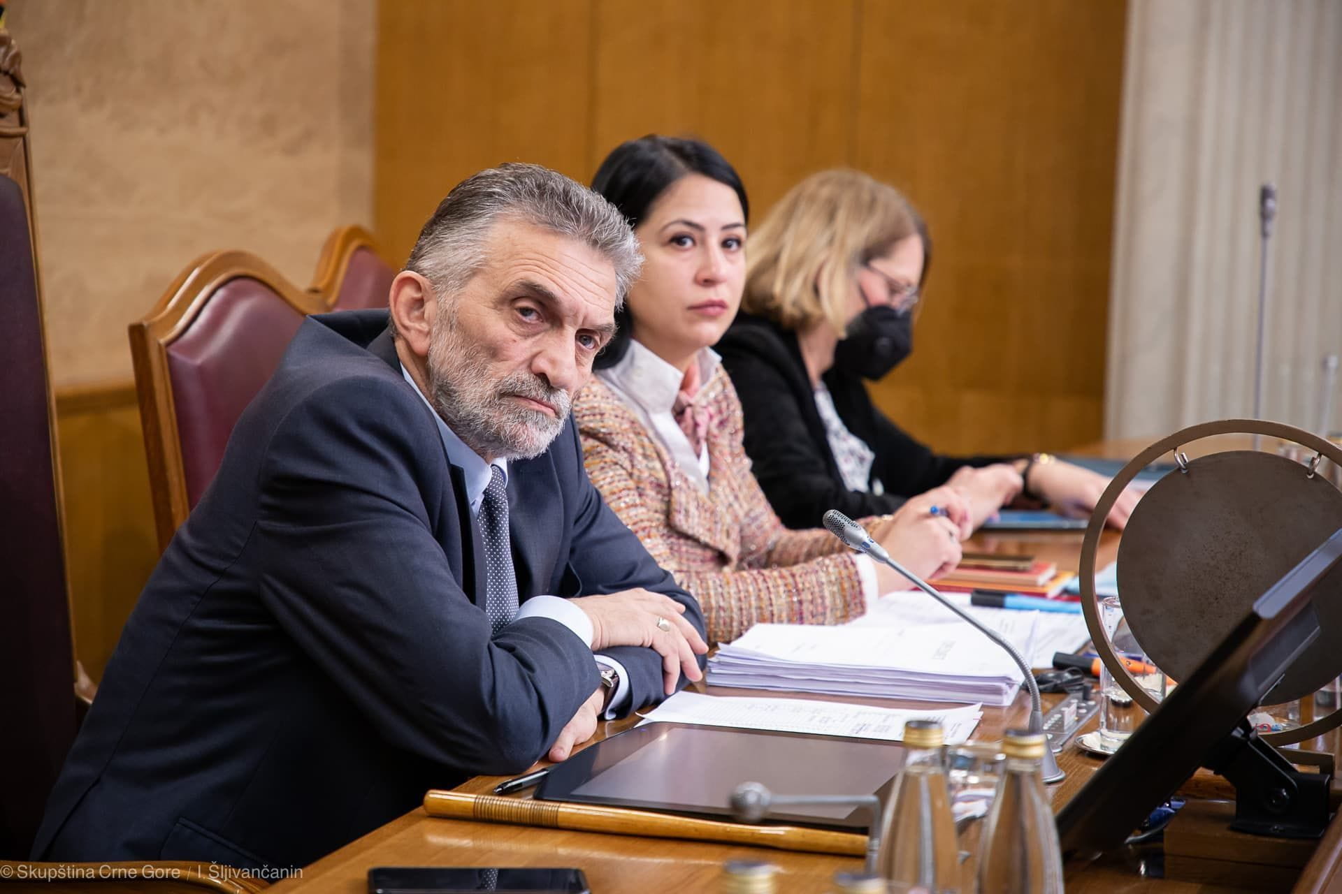 Prava CG i Demokrate u akciji “OPSTRUKCIJA”: Da su završili posao sa Bulajićem oko Skupštine, ne bi ga ovako javno upozoravali