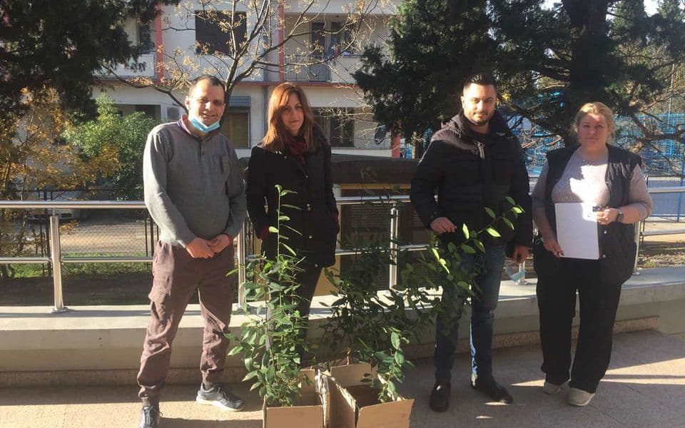 Donacija NVO iz Pipera i Ecoportala: Sadnice lovora za čistiji vazduh