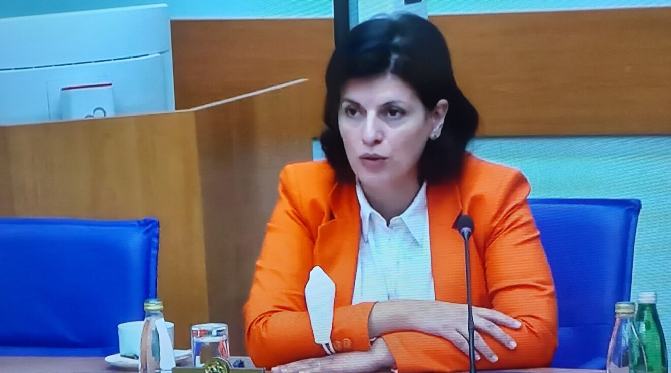 Kordić: Za napredak u pregovorima potreban konstruktivan dijalog svih parlamentarnih činilaca