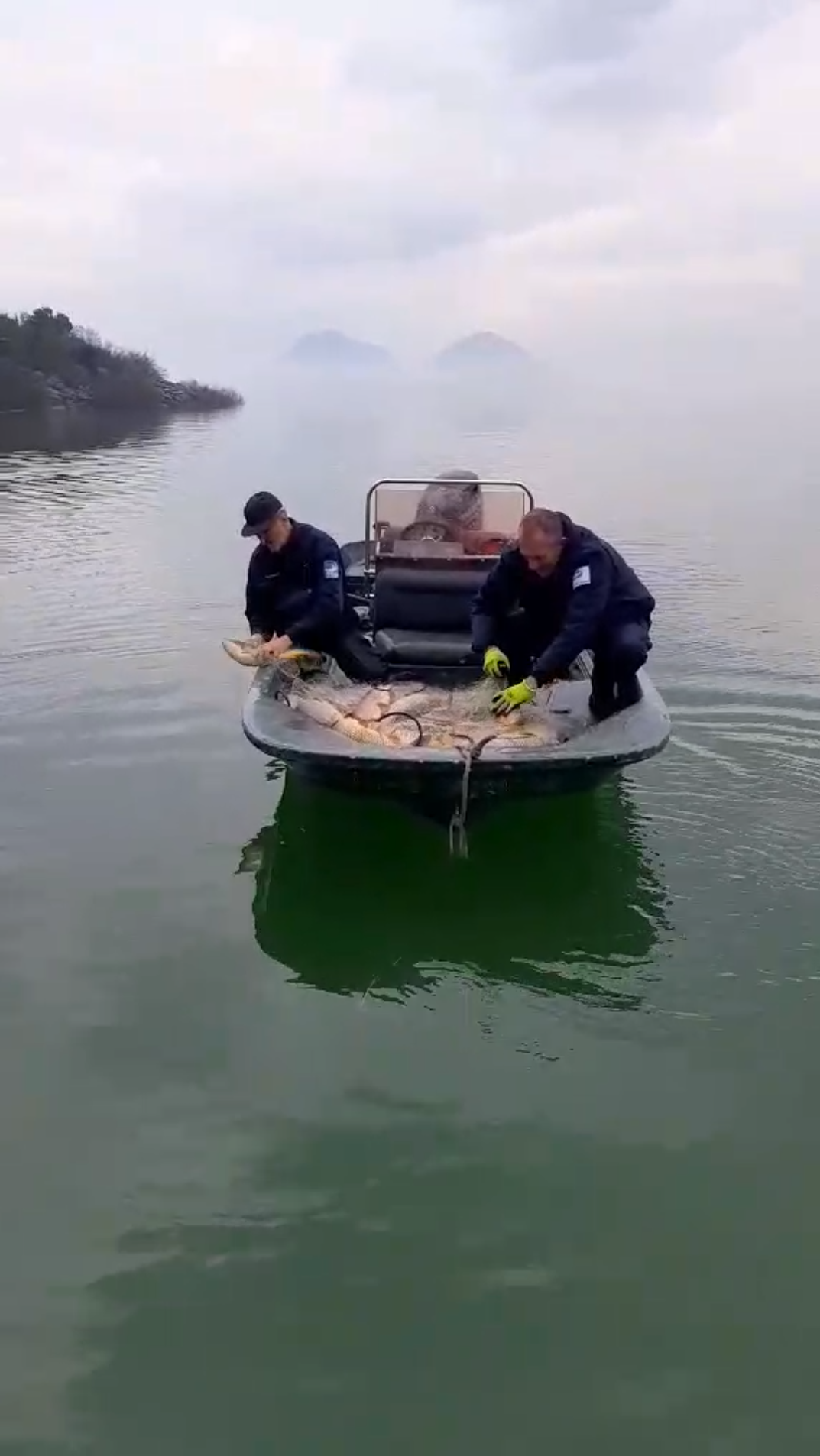 Tona zaplijenjene ribe vraćena u Skadarsko jezero