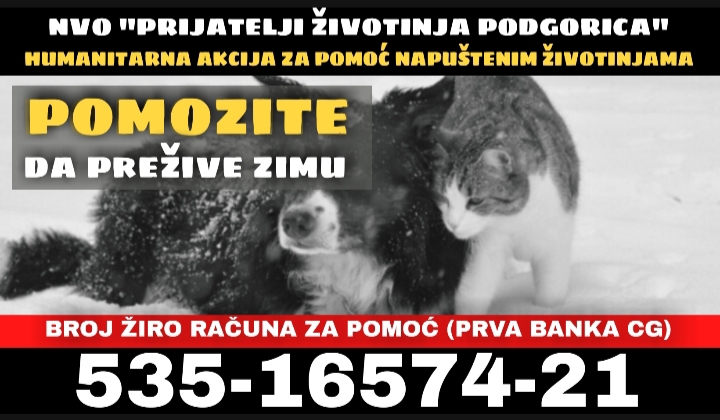 NVO Prijatelji životinja poziva na humanost: ”Pomozite da prežive zimu”