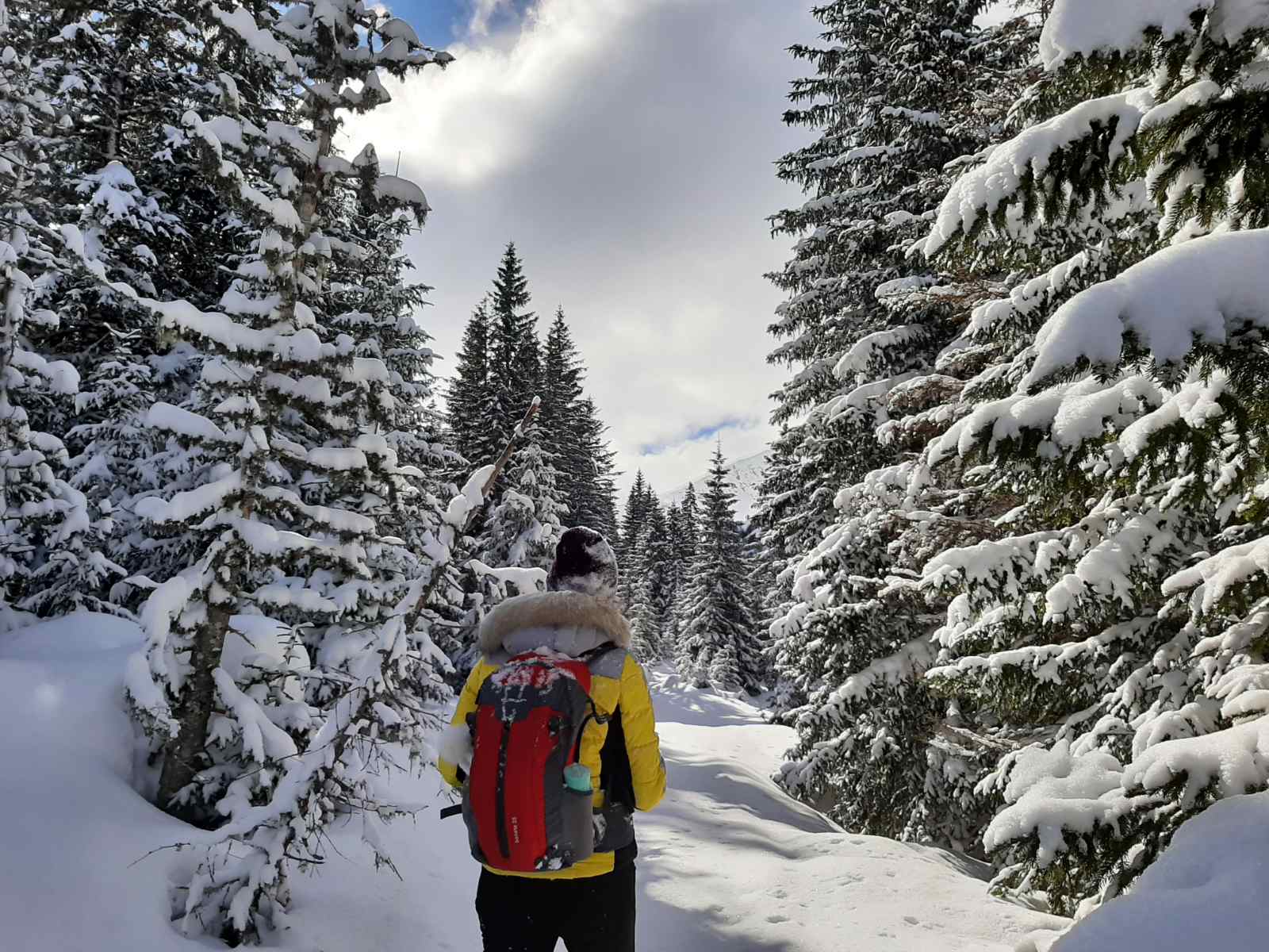 NP Durmitor od početka januara posjetilo 5.631 turista