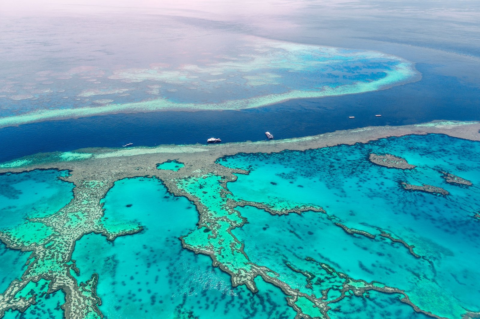 Australija ulaže 630 miliona eura u spasavanje Velikog koralnog grebena