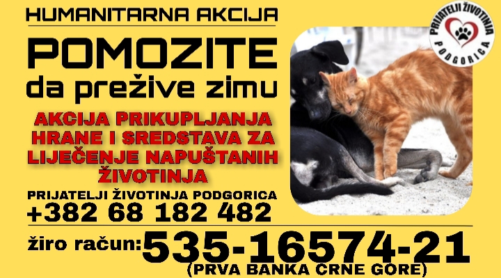 Nastavlja se akcija prikupljanja pomoći za napuštene životinje