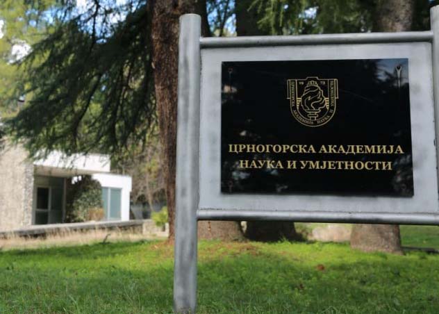 CGO: Univerzitet Crne Gore i CANU da iskažu javno stav oko Ukrajine