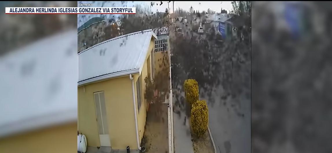 +18: Pogledajte trenutak kada jato ptica pada na zemlju