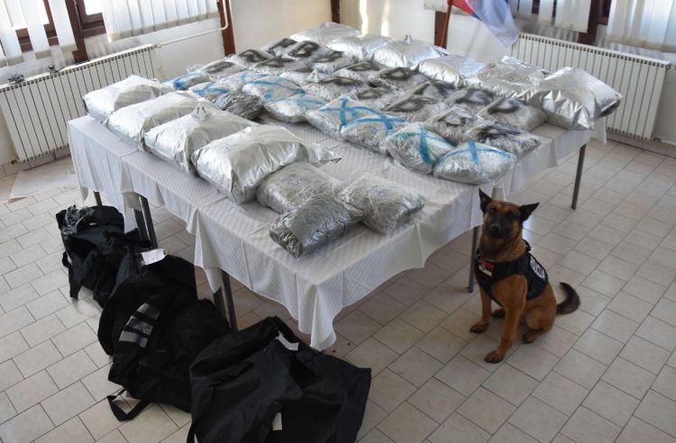 U Novom Pazaru uhapšeni državljani Crne Gore: Pronađeno više od 60kg marihuane