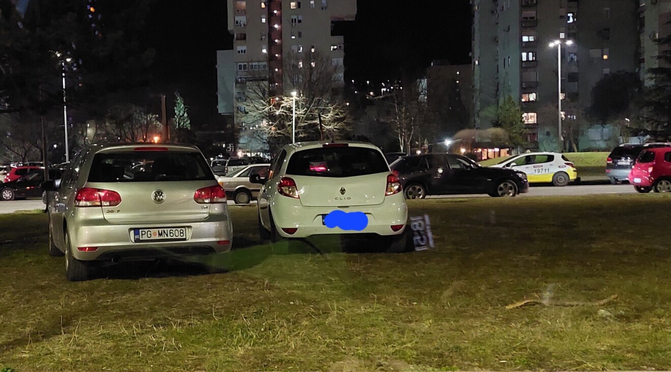 Zirojević: Koprivica parkirao auto na travnjaku, možda nadležni da napišu neku kaznu?