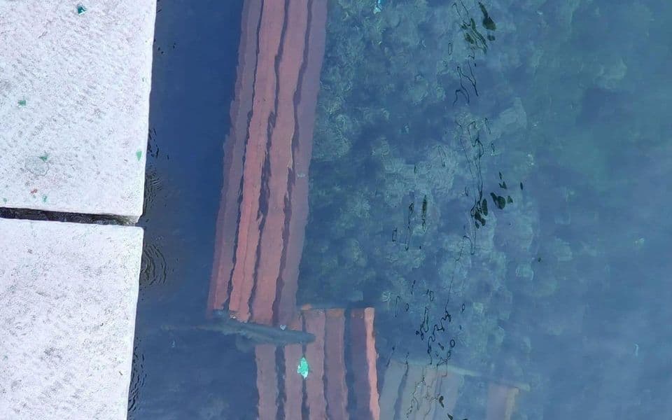 Vandalizam u Kotoru: Klupe završile u moru