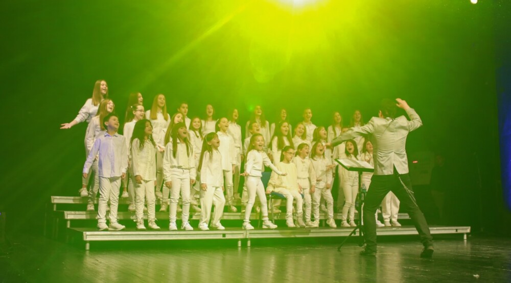 Održan humanitarni koncert Svi zajedno za Stefana