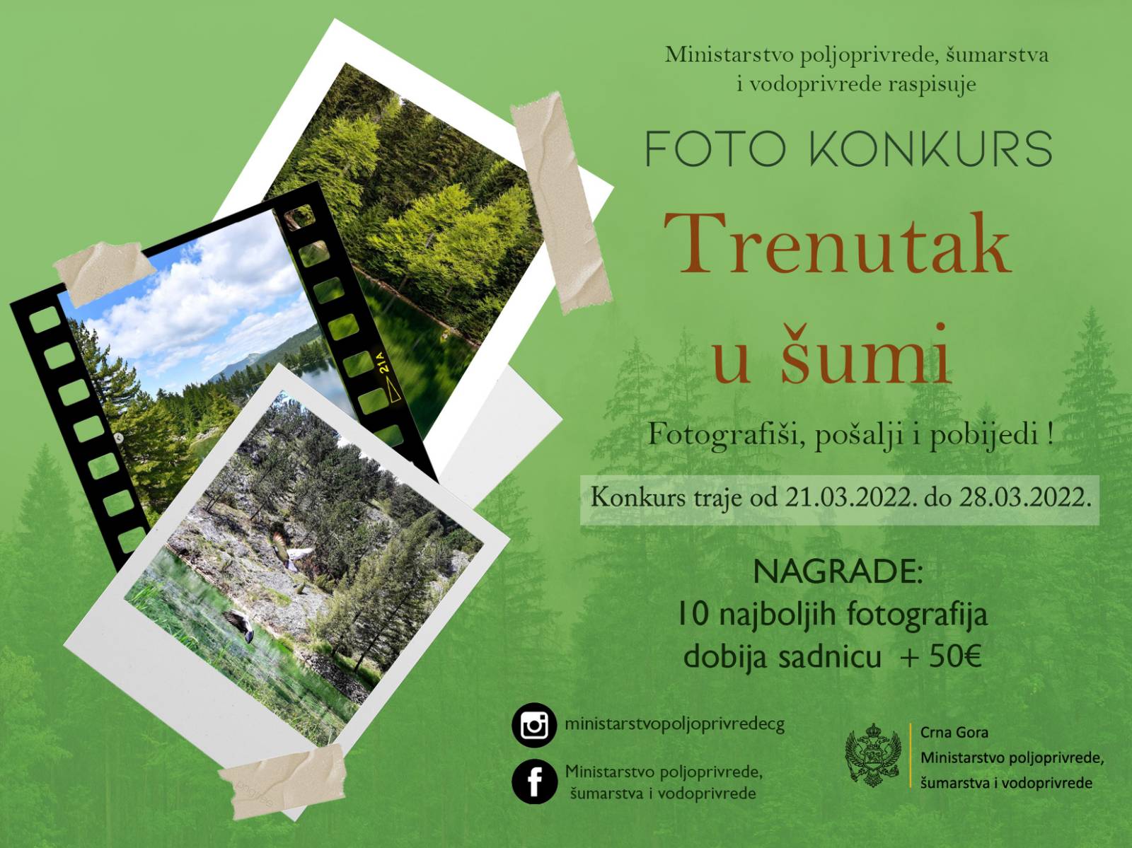 Ministarstvo poljoprivrede raspisalo foto konkurs – Trenutak u šumi