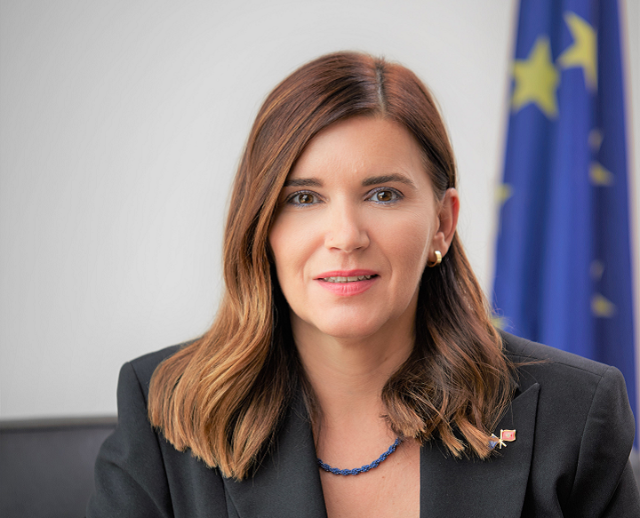 DELEGACIJA EU ZA STANDARD: Ohrabrujemo Vladu da preduzme korake i obezbijedi zakonsku osnovu za sprovođenje sankcija Rusiji