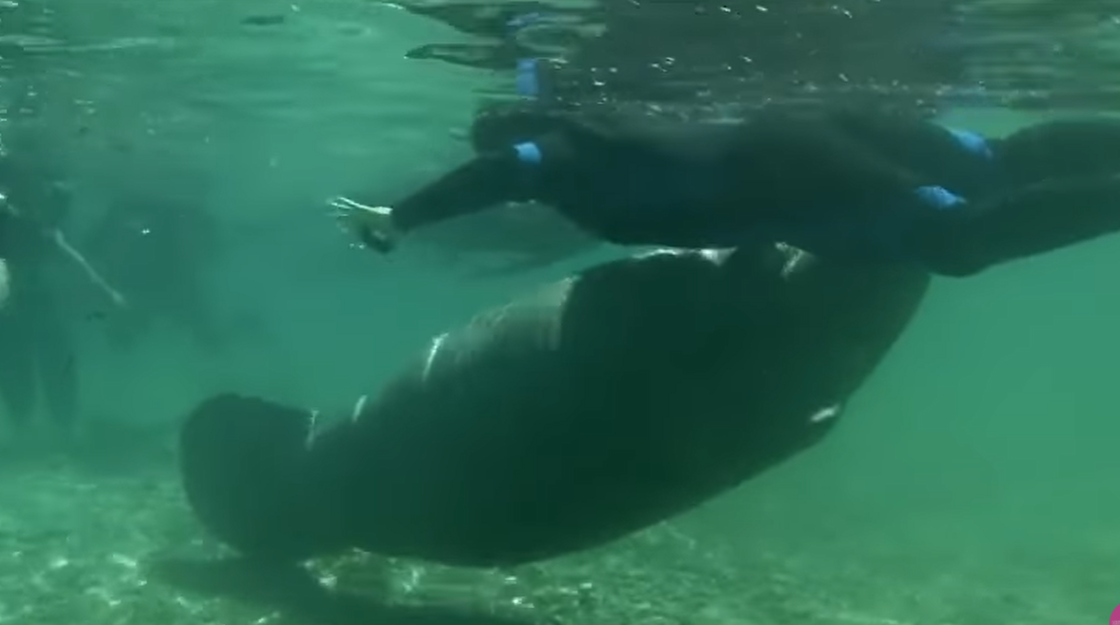 VIDEO: Zbog kupanja u ovoj rijeci turisti idu u zatvor na godinu dana
