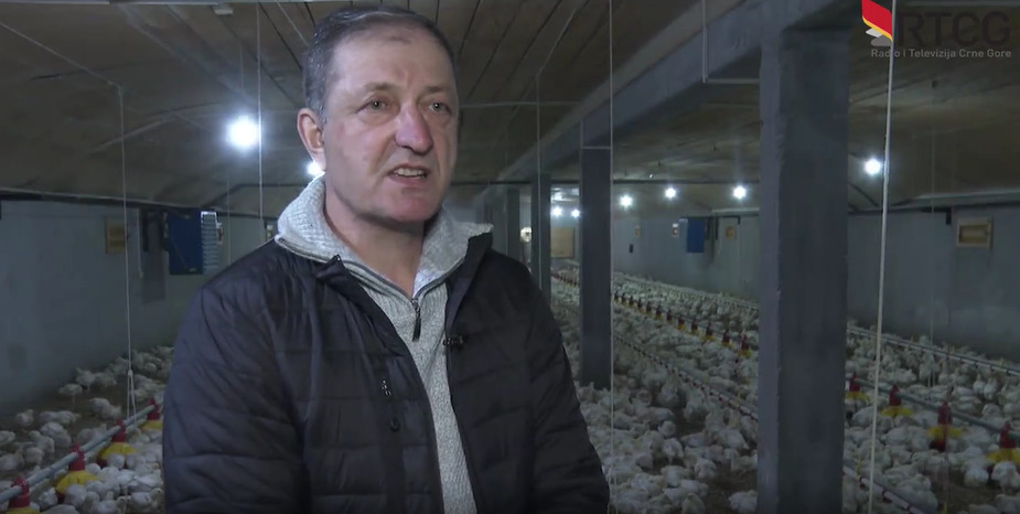 Zejak: Tokom sezone faliće pilećeg mesa